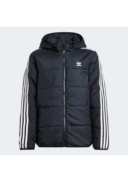 Adidas IY7497 Padded Jacket