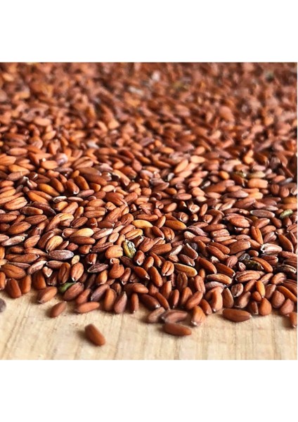 Tere Tohumu (Bahargülü) 500 Gram Ilaçlıdır fiyatları