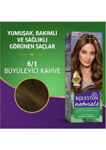 Naturals Saç Boyası Büyüleyici Kahve 6/1