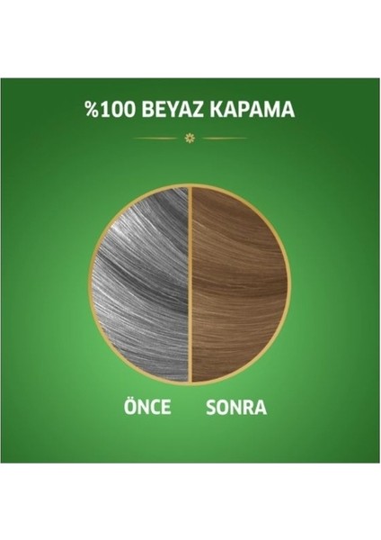 Naturals Saç Boyası Açık Küllü Kumral 8/1