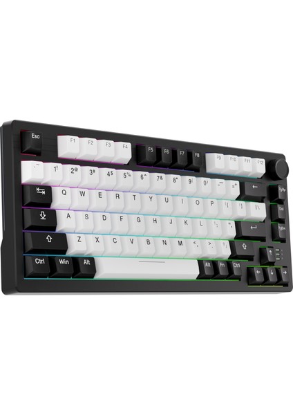 EK75 Pro Beyaz/siyah - Kablosuz Mekanik Oyuncu Klavyesi - Rgb - Dream Switch-Hotswap- Pbt Tuş Takımı