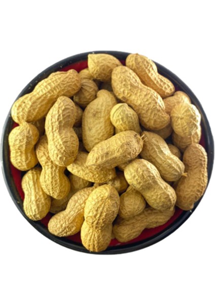 400 Gram Tuzlu Kabuklu Fıstık