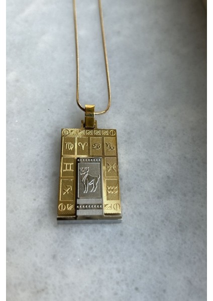 316L Gerçek Çelik Altın Sarı Burç Horoscope Kolyesi Kadın Erkek Tablet Madalyon Kolye Kararmaz