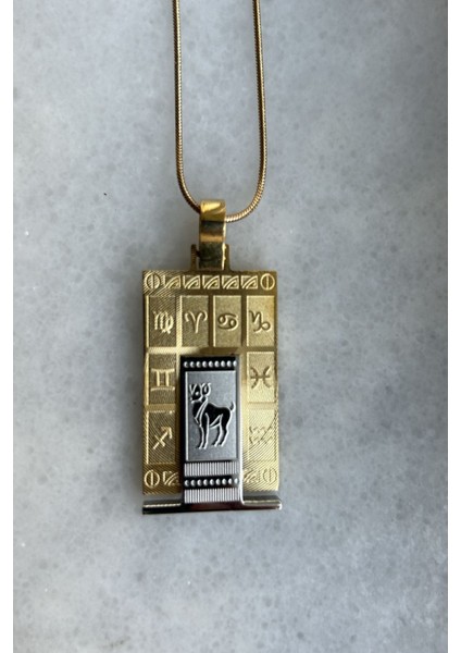 316L Gerçek Çelik Altın Sarı Burç Horoscope Kolyesi Kadın Erkek Tablet Madalyon Kolye Kararmaz fırsatları