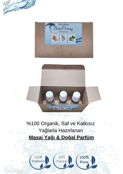 Doğal Roll on, Enerji Seti, Greyfurt, Bergamot, Okaliptus Uçucu Yağı, 10ml x 3