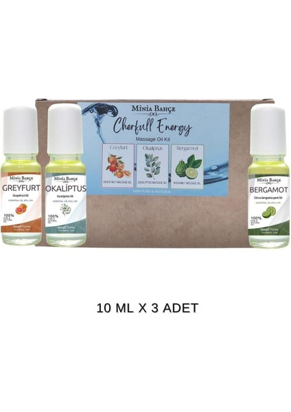 Doğal Roll on, Enerji Seti, Greyfurt, Bergamot, Okaliptus Uçucu Yağı, 10ml x 3