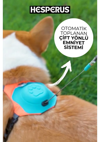 Kendinden Gezdirmeli Çok Yönlü Uzatılabilir Köpek Göğüs Tasması (Yeni Nesil)
