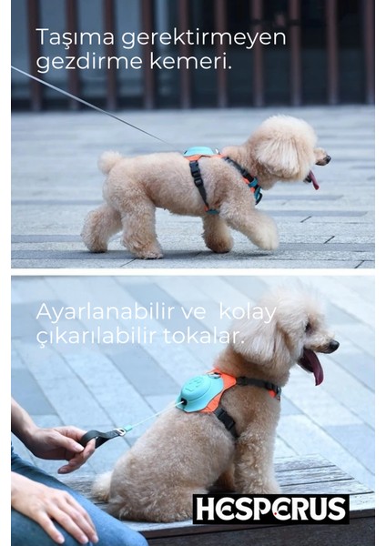 Kendinden Gezdirmeli Çok Yönlü Uzatılabilir Köpek Göğüs Tasması (Yeni Nesil)