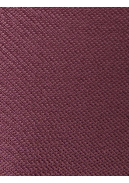 Slim Fit Polo Tişört Kısa Kollu Çizgi Detaylı Pamuklu fiyatları