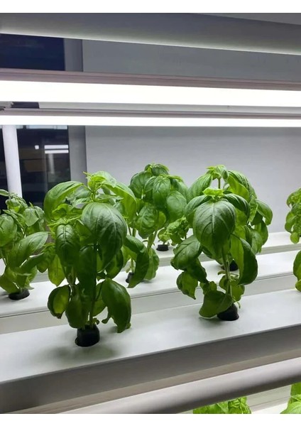 Bitki Yetiştirme Led'i 120 Cm- Profesyonel Üretim