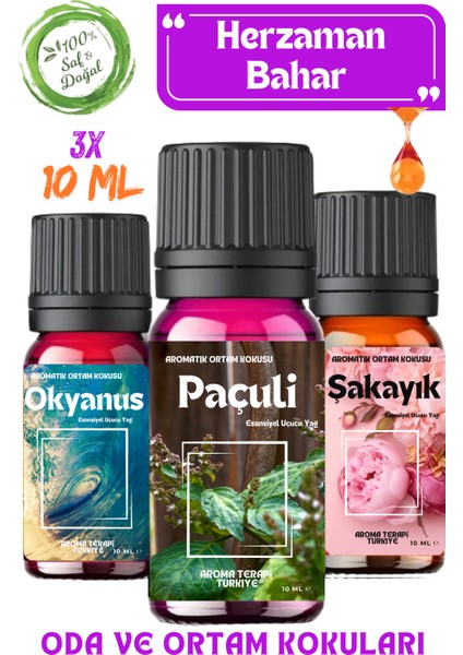 Aroma Terapi TR Bahar Esintisi 3 Adet Esansiyel Yağ & Aromatik Oda ve Ortam Koku Seti