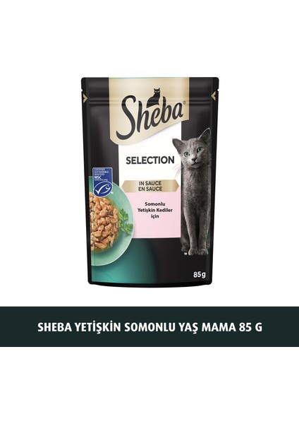 Somon Balıklı Kedi pouch  Yaş mama   85 gr