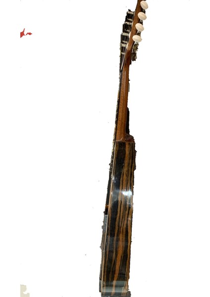 Mandolin fiyatları