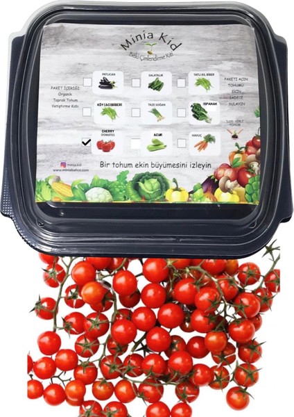 Domates Cherry Çimlendirme Kiti