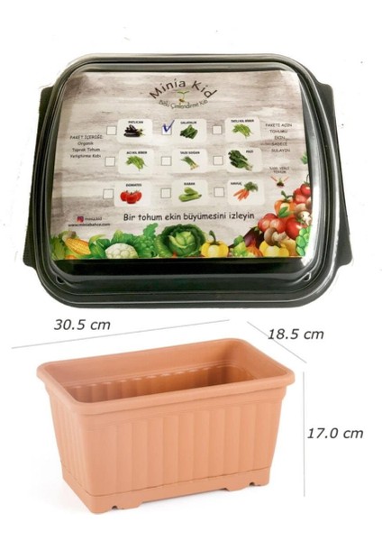 Minia Kid Salatalık Çimlendirme Kiti ve Saksı