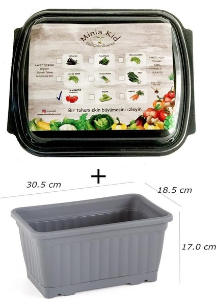 Minia Kid Domates (Yumurta) Çimlendirme Kiti ve Saksı