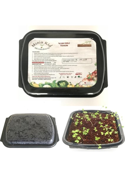 Minia Kid Domates (Yumurta) Çimlendirme Kiti ve Saksı