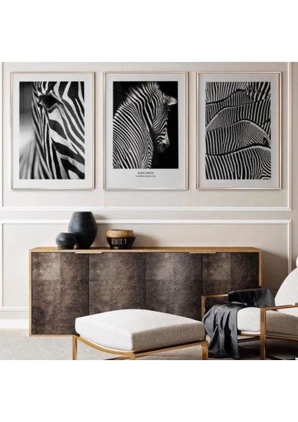 Zebra Detaylı Siyah Beyaz Metal Çerçeveli Tablo Seti Gümüş /s
