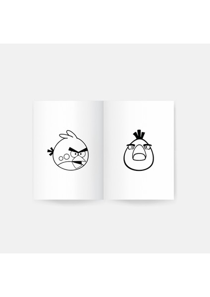 Angry Birds Boyama Kitabı 2'li Set fiyatları