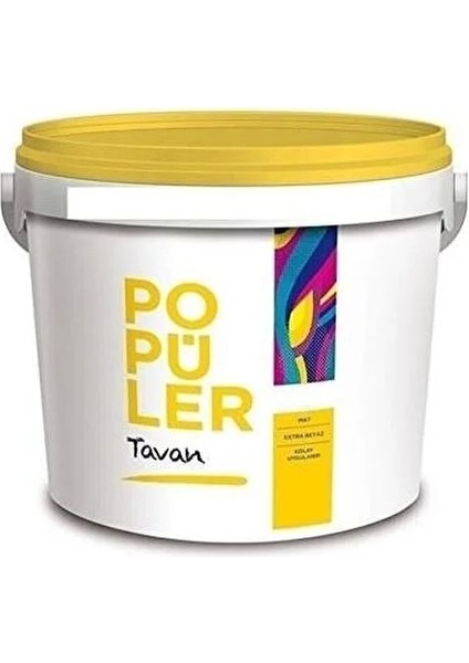 Popüler Tavan 17.5 kg