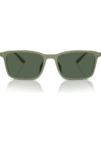 4223U 542471 56 Erkek Güneş Gözlüğü modelleri