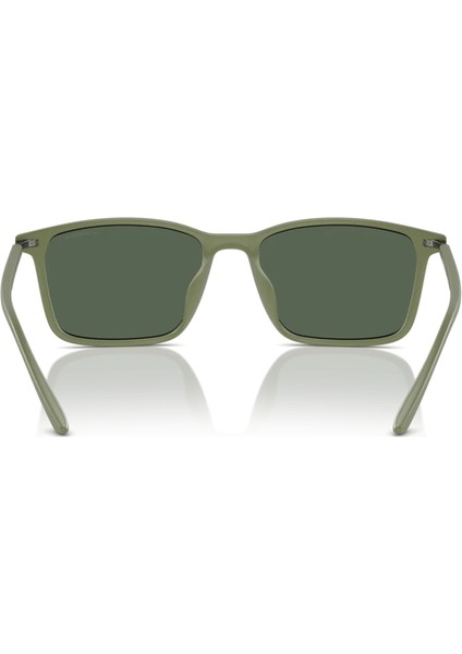 4223U 542471 56 Erkek Güneş Gözlüğü fırsatları
