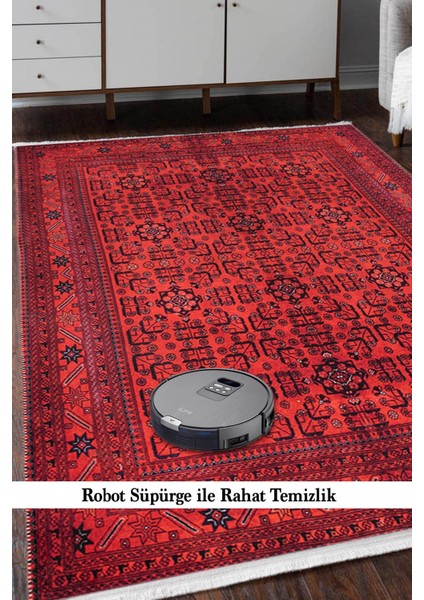 Oxford 065 Dekoratif Kaymaz Tabanlı Saçaklı Yıkanabilir Halı Yolluk Mdd fiyatları