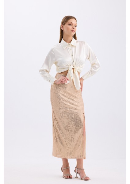 Beli Lastikli Içi Astarlı Zara Payet Abiye Etek | ETK35405 K.bej modelleri