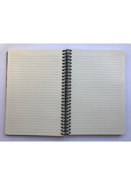 Tuval, Çizgili Defter, Spiralli Sert Kapaklı (Ön Kapak Görseli; Meyve Sepeti ile Natürmort) 16 x 23 CM,100YAPRAK