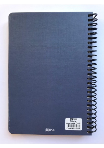 Tuval, Çizgili Defter, Spiralli Sert Kapaklı (Ön Kapak Görseli; Meyve Sepeti ile Natürmort) 16 x 23 CM,100YAPRAK