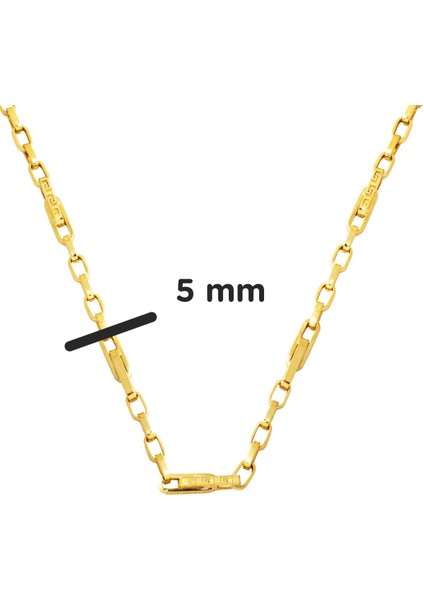 14 Ayar Versace Halkalı Altın Zincir Kolye 50 Cm.