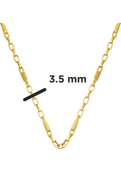 Versace Halkalı Altın Zincir Kolye 14 Ayar 55 Cm. fırsatları