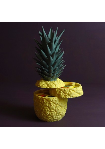 Ananas Saklama Kutusu