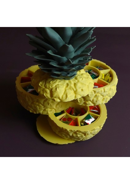 Ananas Saklama Kutusu
