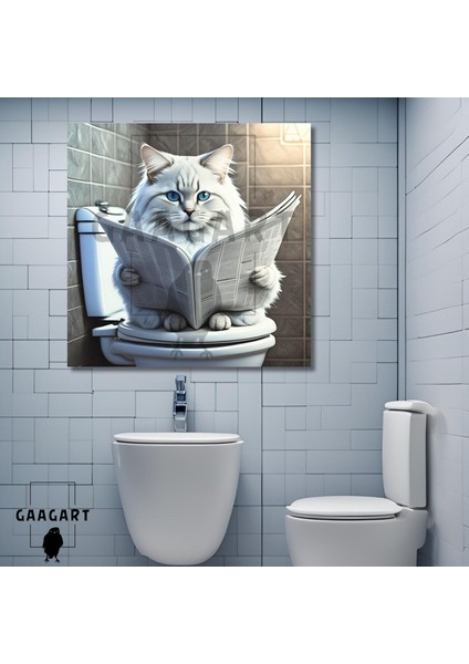 Tekli Kare Kanvas Banyo Tablosu Gazete Okuyan Beyaz Chinchilla Kedi