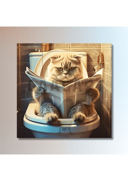 Tekli Kare Kanvas Banyo Tablosu Gazete Okuyan Gri Scottish Kedi modelleri