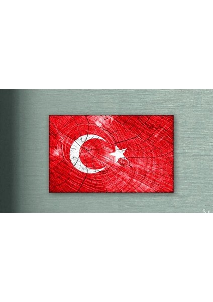 Kanvas Tablo Türk Bayrağı (Bir Hilal Uğruna Ya Rab)