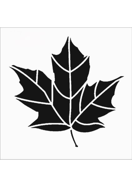 Stencil Sarayi Boyama Şablon Çiçek ve Meyve - 8248