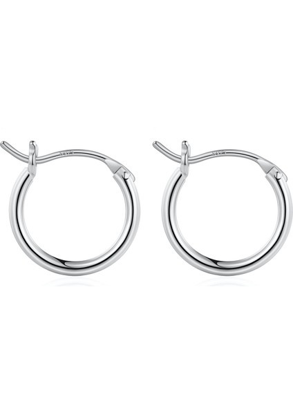 Tignn Halka Küpe Kadınlar Için 14K Altın Kaplama 925 Ayar Gümüş Post Hipoalerjenik Tıknaz Küpe (Yurt Dışından)