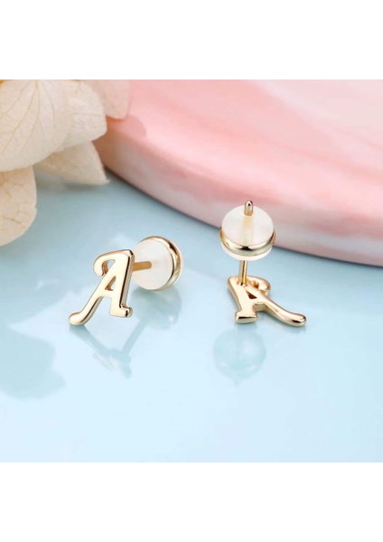 Laatikui Gümüş Damızlık Küpe 14K Altın Kaplama Hipoalerjenik Küpe (Yurt Dışından) fiyatları