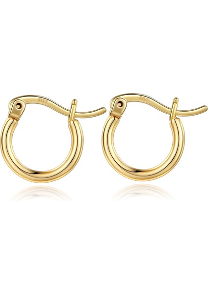 Laatikui Altın Çember Küpe Kadınlar Için 14K Altın Kaplama 925 Ayar Gümüş Post Hipoalerjenik Küpe (Yurt Dışından)