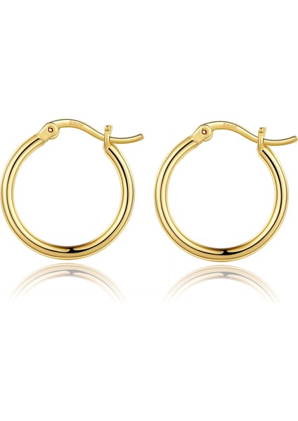 Laatikui Altın Çember Küpe Kadınlar Için 14K Altın Kaplama 925 Ayar Gümüş Post Hipoalerjenik Küpe (Yurt Dışından)