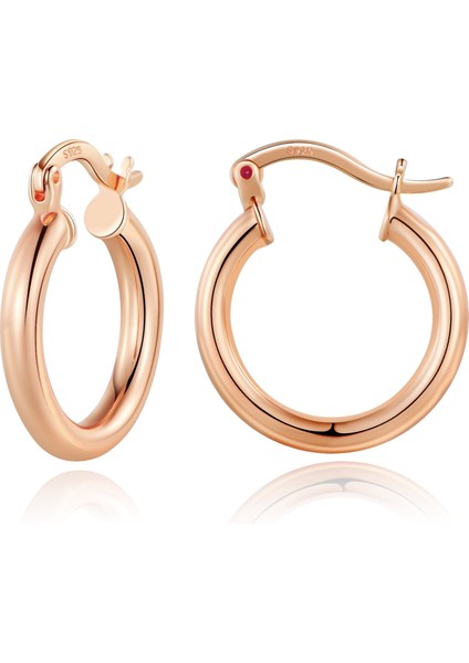 Laatikui Küçük Altın Çember Küpe Kadınlar Için 14K Altın Kaplama 925 Ayar Gümüş Post Hipoalerjenik Mini Tıknaz Açık Çemberler Küpe (Yurt Dışından)