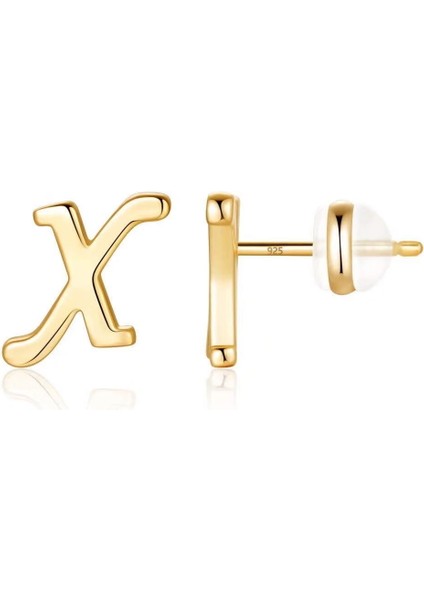 Laatikui Gümüş Damızlık Küpe 14K Altın Kaplama Hipoalerjenik Küpe (Yurt Dışından)