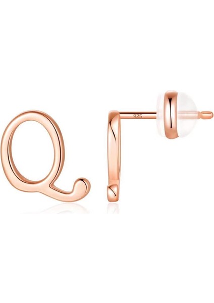 Laatikui Gümüş Damızlık Küpe 14K Altın Kaplama Hipoalerjenik Küpe (Yurt Dışından)