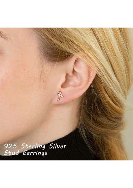 Laatikui Gümüş Damızlık Küpe 14K Altın Kaplama Hipoalerjenik Küpe (Yurt Dışından) indirimleri