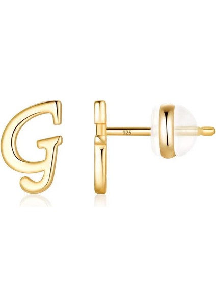 Laatikui Gümüş Damızlık Küpe 14K Altın Kaplama Hipoalerjenik Küpe (Yurt Dışından)