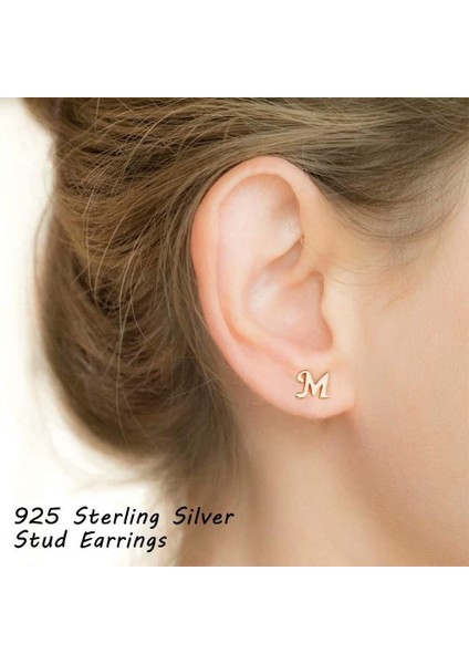 Laatikui Gümüş Damızlık Küpe 14K Altın Kaplama Hipoalerjenik Küpe (Yurt Dışından) indirimleri