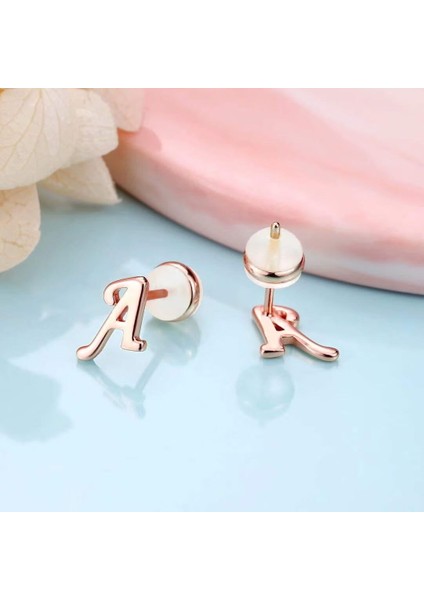 Laatikui Gümüş Damızlık Küpe 14K Altın Kaplama Hipoalerjenik Küpe (Yurt Dışından) fiyatları