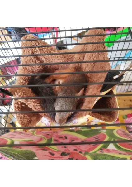 Mavi Stil S Beden Ev Hayvanları Döşemeli Iki Katlı Peluş Yumuşak Kışlık Sıcak Asma Yuva Yatak Küçük Evcil Hayvanlar Hamster Sincap Illa Evi (Yurt Dışından)